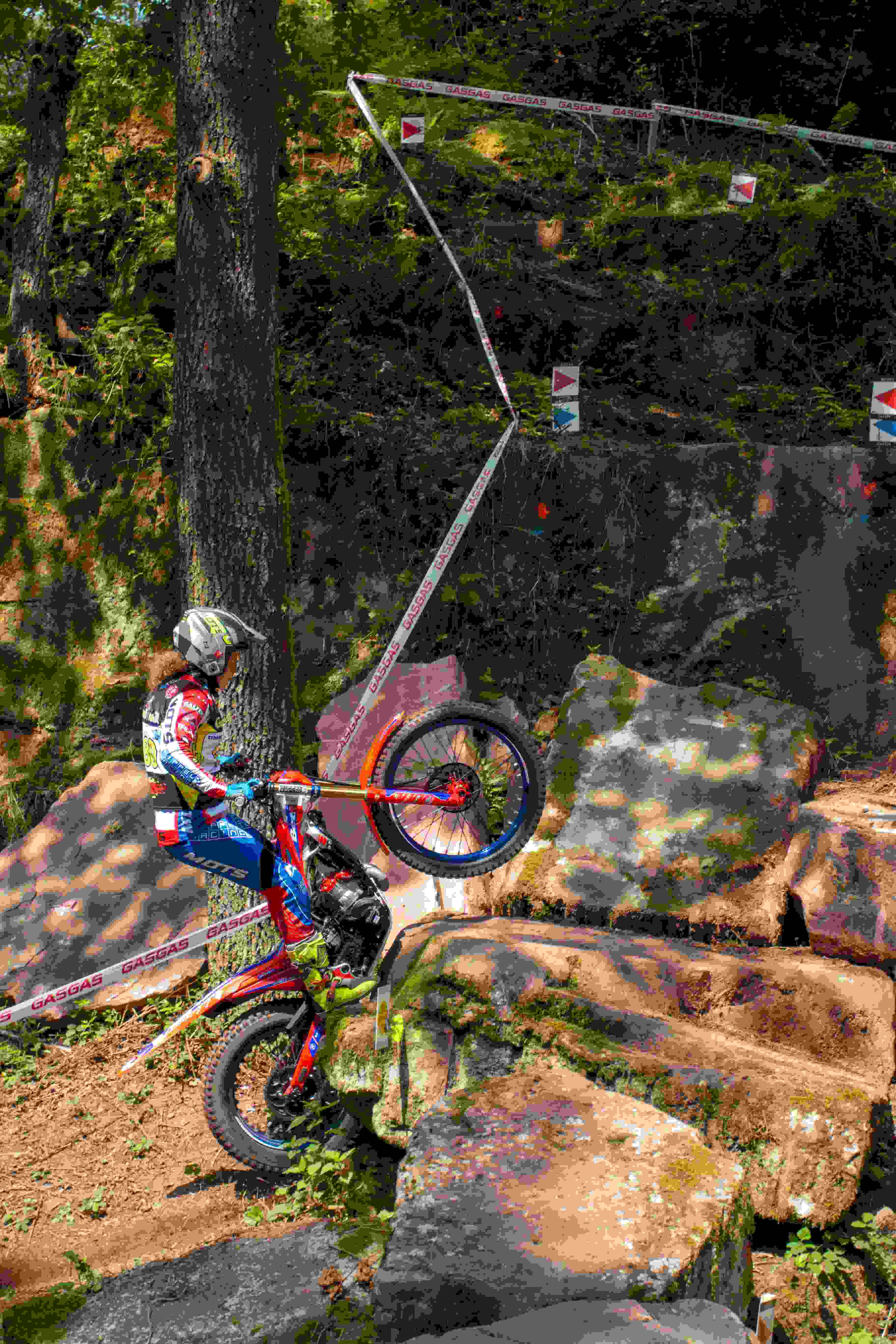 20240803 IMG 0388 400 KB